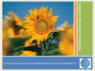 PROGRAMAS DE APOYO PARA TÚ EMPRESA
Consejo Internacional de Responsabilidad Social para la Sustentabilidad A.C.
 