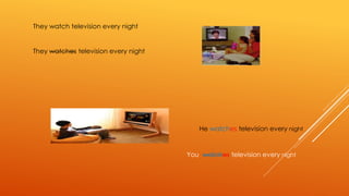 They watch television every night 
They watches television every night 
He watches television every night 
You watches television every night 
 