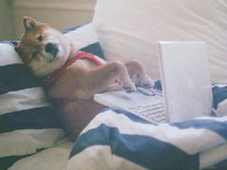 bernard de luna
@bernarddeluna
 