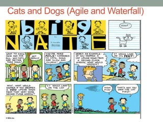 Cats and Dogs (Agile and Waterfall)
 