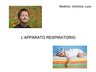 Beatrice, Veronica, Luca
L’APPARATO RESPIRATORIO
 