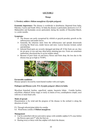 10
LECTURE 2
Mango
1. Powdery mildew: Oidium mangiferae (Eyrsiphe polygoni)
Economic importance: The disease is worldwide in distribution. Reported from India,
Pakistan, Ceylon and South Africa. In India the disease is particularly destructive in U.P.
Maharashtra and Karnataka severe particularly during the months of December-March,
i.e. cooler months.
Symptoms:
The disease can easily recognized by whitish or grayish powdery growth on the
inflorescence and tender leaves.
Generally the infection starts from the inflorescence and spreads downwards
covering the floral axis, tender leaves and stem. Leaves become twisted, curled
and defoliate.
Infected floral parts are severely damaged and drop off. If the fruits are set, they
do not grow in size and may drop before attaining pea size. Fruits are sometimes
malformed, discolored due to severe mildew attack.
Because of poor fruits set and heavy flower and fruits drop, the loss due to the
disease may go as high as 70-80%.
Favourable conditions
Disease spread is favored by warm humid weather with cool nights.
Pathogen and Disease cycle: P.S: Erysiphe polygoni -(Rare) in India.
Mycelium branched, hyaline, superficial, septate, haustoria lobate. Conidia hyaline,
unicellular, elliptical, borne singly or rarely in chains of two, conidiophores simple, erect
with two or more basal cells.
Mode of spread:
Dissemination is by wind and the progress of the disease in the orchard is along the
direction of wind.
P.I: Through infected plant debris by conidia
S.I: Wind borne conidia of Oidium mangiferae.
Management
Can be controlled with two preventive sprays with wettable sulphur 0.3% once before
the flowers open and 2nd
after the fruit set.
Dusting twice or thrice with fine sulphur will check the disease.
 