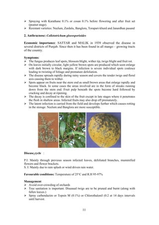 11
Spraying with Karathane 0.1% or cosan 0.1% before flowering and after fruit set
(peanut stage).
Resistant varieties: Neelum, Zardalu, Banglora, Torapari-khurd and Janardhan pasand
2. Anthracnose: Colletotrichum gloeosporioides
Economic importance: SATTAR and MALIK in 1939 observed the disease in
several districts of Punjab. Since then it has been found in all mango – growing tracts
of the country.
Symptoms:
The fungus produces leaf spots, blossom blight, wither tip, twigs blight and fruit rot.
On leaves initially circular, light yellow brown spots are produced which soon enlarge
with dark brown to black margins. If infection is severe individual spots coalesce
leading to twisting of foliage and premature defoliation.
The disease spreads rapidly during rainy season and covers the tender twigs and floral
axis causing them to wither.
Spots appear on fruits near the stem end as small brown areas that enlarge rapidly and
become black. In some cases the areas involved are in the form of streaks running
down from the stem end. Fruit pulp beneath the spots become hard followed by
cracking and decay at ripening.
The decay is confined to the skin of the fruit except in late stages where it penetrates
the flesh in shallow areas. Infected fruits may also drop off prematurely.
The latent infection is carried from the field and develops further which causes rotting
in the storage. Neelum and Banglora are more susceptible.
Disease cycle :
P.I: Mainly through previous season infected leaves, defoliated branches, mummified
flowers and flower brackets.
S. I: Mainly due to rain splash or wind driven rain water.
Favourable conditions: Temperature of 25°C and R.H 95-97%
Management
Avoid over-crowding of orchards
Tree sanitation is important. Diseased twigs are to be pruned and burnt (along with
fallen leaves.)
Spray carbendazim or Topsin M (0.1%) or Chlorothalonil (0.2 at 14 days intervals
until harvest.
 
