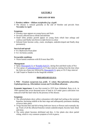 16
LECTURE 3
DISEASES OF BER
1. Powdery mildew – Oidium erysiphoides f.sp. zizyphi
The disease is noticed generally at the end of October and prevails from
November to April
Symptoms
Powdery mass appears on young leaves and fruits
Severely affected leaves shrink and defoliate
Small white pwdery growth appear on young fruits which later enlarge and
coalesce and finally turn brown to dark brown in colour
Infected fruits become corky, crack, misshapen, underdeveloped and finally drop
prematurely
Survival and spread
P.I: Budwood of host plant
S.I: Air-borne conidia
Favourable conditions
Warm humid conditions with R.H more than 90%
Management
Spray Dinocap@0.1% or Wettable S@0.2% during first and third weeks of Nov
Two sprays of carbendazim@0.2% at 15 days interval, starting from the time when
the fruits are of pea size followed by Dinocap@0.1% spray at 10-15 days interval
Add Teepol or Sandovit to the fungicide solution
DISEASES OF GUAVA
1. Wilt – Fusaium oxysporum f.sp. psidii, F. solani, Macrophomina phaseolina,
Cephalosporium sp., Gliocladium roseum and Verticillium alboarum.
Economic importance: It was first reorted in 1935 from Allahabad. Jhoty et al., in
1984 reported that seven thousand acres of land in A.P under guava cultivation was
reduced to half the land value by the presence of the disease.
Symptoms
The affected plants show yellow colouration with slight leaf curling at the terminal
branches, becoming reddish at the later stage and subsequently premature shedding
of leaves takes place.
Twigs become bare and fail to bring forth new leaves or flowers and eventually dry
up. Fruits of all the affected branches remain underdeveloped, become hard, black
and stony.
The entire plantr becomes defoliated and dies. A few plants also show partial
wlting, which is very common symptom of wilt in guava.
 