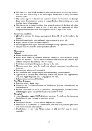 17
The finer roots show black streaks which become prominent on removing the bark.
The roots also show rotting at the basal region and the bark is easily detachable
from the cortex.
The cortical regions of the stem and root show distinct discolouration and damage.
Light brown discoloration is noticed in vascular bundles. Brak splitting can be seen
in wlted plants in later stages.
The disease can be catagorized into slow wilt and sudden wilt. In slow wilt, plant
takes several months or even a year, to wilt after the appearance of initial
symptoms and in sudden wilt, infected plant wilts in 15 days to one month.
Favourable conditions:
pH 6.0 is optimum for disease development. Both pH 4.0 and 8.0 reduces the
disease.
Disease is more in clay loam and sandy loam compared to heavy soil.
Higher disease incidence in monsoon period.
Disease appears from august and increases sharply during September-October.
The presence of nematode, Helicotylenchus dihystera
Management
Cultural:
Proper sanitation of orchard.
Wilted plants should be uprooted, burnt and a trench of 1.0-1.5m should be dug
around the tree tunk. Treat the pits with formalin and cover the pit for three days
and then transplant the seedlings after two weeks.
While transplanting seedlimgs avoid damage to the roots.
Maintain proper tree vigour by timely and adequate manuring, inter-culture and
irrigation.
Intercropping with turmeric or marigld.
Soil solariztion with transparent polythene sheet during summer months.
Application of oil cakes like neem cake, mahua cake, kusum cake supplemented
with urea. Apply 6kg neem cake + 2kg gypsum per plant.
Judicous ammendments of N and Zn.
Host Plant Resistance:
Resistant variety: Apple guava
Guava species, Psidium cattleianum var. lucidum and Syzigium cumini (Jamun) are
resistantr to wilt.
Psidium cattleianum (P. molle), P. quianense, Chinese guava (P. friedshthalianum)
and Phillippine guava are recommended as resistant root stocks
Biological:
Aspergillus niger strain AN 17, Trichoderma viride, Trichoderma harzianum and
Penicillium citrinum can used as biocontrol agents
Chemical:
Stem injection with 0.1% water soluble 8-Quinolinol sulphate
Drench with 0.2% Benomyl or Carbendazim, four times in a year and spray twice
with Measystox and Zinc sulphate.
Disinfestation of soil with Metam-sodium at 252 ml/10m2
area to control
nemtodes.
 