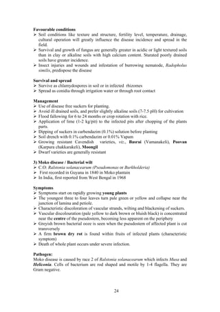 24
Favourable conditions
Soil conditions like texture and structure, fertility level, temperature, drainage,
cultural operation will greatly influence the disease incidence and spread in the
field.
Survival and growth of fungus are generally greater in acidic or light textured soils
than in clay or alkaline soils with high calcium content. Sturated poorly drained
soils have greater incidence.
Insect injuries and wounds and infestation of burrowing nematode, Radopholus
similis, predispose the disease
Survival and spread
Survive as chlamydospores in soil or in infected rhizomes
Spread as conidia through irrigation water or through root contact
Management
Use of disease free suckers for planting.
Avoid ill drained soils, and prefer slightly alkaline soils (7-7.5 pH) for cultivation
Flood fallowing for 6 to 24 months or crop rotation with rice.
Application of lime (1-2 kg/pit) to the infected pits after chopping of the plants
parts.
Dipping of suckers in carbendazim (0.1%) solution before planting
Soil drench with 0.1% carbendazim or 0.01% Vapam
Growing resistant Cavendish varieties, viz., Basrai (Vamanakeli), Poovan
(Karpura chakkarakeli), Moongil
Dwarf varieties are generally resistant
3) Moko disease / Bacterial wilt
C.O: Ralstonia solanacearum (Pseudomonas or Burkholderia)
First recorded in Guyana in 1840 in Moko plantain
In India, first reported from West Bengal in 1968
Symptoms
Symptoms start on rapidly growing young plants
The youngest three to four leaves turn pale green or yellow and collapse near the
junction of lamina and petiole.
Characteristic discoloration of vascular strands, wilting and blackening of suckers.
Vascular discolouration (pale yellow to dark brown or bluish black) is concentrated
near the centre of the pseudostem, becoming less apparent on the periphery
Greyish brown bacterial ooze is seen when the pseudostem of affected plant is cut
transversely
A firm brown dry rot is found within fruits of infected plants (characteristic
symptom)
Death of whole plant occurs under severe infection.
Pathogen:
Moko disease is caused by race 2 of Ralstonia solanacearum which infects Musa and
Heliconia. Cells of bacterium are rod shaped and motile by 1-4 flagella. They are
Gram negative.
 