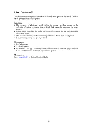 35
6. Rust: Phakopsora vitis
GLR is common throughout South-East Asia and other parts of the world. Cultivar
Black prince is highly susceptible
Symptoms
The presence of clustered, small, yellow to orange, powdery spores on the
underside of mature grapevine leaves. Small, dark spots also appear on the upper
surface.
Under severe infection, the entire leaf surface is covered by sori and premature
defoliation occurs
The disease eventually lead to weakening of the vine due to poor shoot growth
Reduction in quantity and quality of fruit.
Disease cycle
P.I: Teliospores
S.I: Uredospores
GLR affects Vitis spp., including commercial and some ornamental grape varieties.
It has also been found on native Ampelocissus species
Management
Spray zineb@0.2% or dust sulphur@25Kg/ha
 