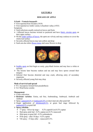 36
LECTURE 6
DISEASES OF APPLE
1) Scab – Venturia inaequalis
First reported from Sweden (1819)
First reported on Ambri variety in Kashmir valley (1935)
Symptoms
Scab infections usually noticed on leaves and fruits
+Affected leaves become twisted or puckered and have black, circular spots on
their upper surface.
On the under surface of leaves, the spots are velvety and may coalesce to cover the
whole leaf surface
Severely affected leaves may turn yellow and drop
Scab can also infect flower stems and cause flowers to drop
Scabby spots on fruit begin as sooty, gray-black lesions and may have a white or
red halo
The lesions later become sunken and tan and may have spores around their
margins
Infected fruit become distorted and may crack, allowing entry of secondary
organisms
Severely affected young fruit may drop
Mode of survival and spread
P.I: Ascospores formed from pseudothecia
S.I: Wind borne conidia
Management
Clean cultivation
Resistant varieties: Emira, red free, Ambstraking, Ambroyal, Ambrich and
Ambred
Spray captan@0.2% or dodine@0.25% at short intervals after petal fall
Single application of difolaton@0.3% at green bud stage followed by
captan@0.2% at petal fall
Spray schedule
• 1st
spray - Silver tip stage - 0.2% captofol (or) 0.3% captan
• IInd spray pink bud - 0.2% captan (or) 0.3% mancozeb
• IIIrd spray at petal fall - 0.5% carbendazim
• IVth spray - after 10 days - 0.2% captan
• Vth spray - 15 days after - mancozeb 0.3%
 
