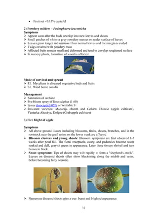 37
• Fruit set - 0.15% captafol
2) Powdery mildew – Podosphaera leucotricha
Symptoms
Appear soon after the buds develop into new leaves and shoots
Small patches of white or grey powdery masses on under surface of leaves
Leaves grow longer and narrower than normal leaves and the margin is curled
Twigs covered with powdery mass
Affected fruits remain small and deformed and tend to develop roughened surface
In nursery plants, formation of wood is affected
Mode of survival and spread
P.I: Mycelium in diseased vegetative buds and fruits
S.I: Wind borne conidia
Management
Sanitation of orchard
Pre-bloom spray of lime sulphur (1:60)
Spray dinocap@0.05% or Wettable S
Resistant varieties: Maharaja chunth and Golden Chinese (apple cultivars),
Yantarka Altaskya, Dolgoe (Crab apple cultivars)
3) Fire blight of apple
Symptoms
All above ground tissues including blossoms, fruits, shoots, branches, and in the
rootstock near the graft union on the lower trunk are affected
Blossom clusters and young shoots: Blossom symptoms are first observed 1-2
weeks after petal fall. The floral receptacle, ovary, and peduncles become water
soaked and dull, grayish green in appearance. Later these tissues shrivel and turn
brown to black.
Shoot symptoms: Tips of shoots may wilt rapidly to form a "shepherd's crook”.
Leaves on diseased shoots often show blackening along the midrib and veins,
before becoming fully necrotic.
Numerous diseased shoots give a tree burnt and blighted appearance
 