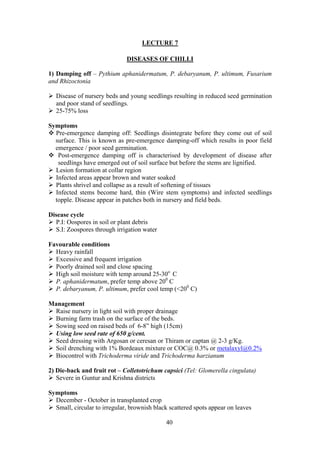 40
LECTURE 7
DISEASES OF CHILLI
1) Damping off – Pythium aphanidermatum, P. debaryanum, P. ultimum, Fusarium
and Rhizoctonia
Disease of nursery beds and young seedlings resulting in reduced seed germination
and poor stand of seedlings.
25-75% loss
Symptoms
Pre-emergence damping off: Seedlings disintegrate before they come out of soil
surface. This is known as pre-emergence damping-off which results in poor field
emergence / poor seed germination.
Post-emergence damping off is characterised by development of disease after
seedlings have emerged out of soil surface but before the stems are lignified.
Lesion formation at collar region
Infected areas appear brown and water soaked
Plants shrivel and collapse as a result of softening of tissues
Infected stems become hard, thin (Wire stem symptoms) and infected seedlings
topple. Disease appear in patches both in nursery and field beds.
Disease cycle
P.I: Oospores in soil or plant debris
S.I: Zoospores through irrigation water
Favourable conditions
Heavy rainfall
Excessive and frequent irrigation
Poorly drained soil and close spacing
High soil moisture with temp around 25-30o
C
P. aphanidermatum, prefer temp above 200
C
P. debaryanum, P. ultimum, prefer cool temp (<200
C)
Management
Raise nursery in light soil with proper drainage
Burning farm trash on the surface of the beds.
Sowing seed on raised beds of 6-8” high (15cm)
Using low seed rate of 650 g/cent.
Seed dressing with Argosan or ceresan or Thiram or captan @ 2-3 g/Kg.
Soil drenching with 1% Bordeaux mixture or COC@ 0.3% or metalaxyl@0.2%
Biocontrol with Trichoderma viride and Trichoderma harzianum
2) Die-back and fruit rot – Colletotrichum capsici (Tel: Glomerella cingulata)
Severe in Guntur and Krishna districts
Symptoms
December - October in transplanted crop
Small, circular to irregular, brownish black scattered spots appear on leaves
 