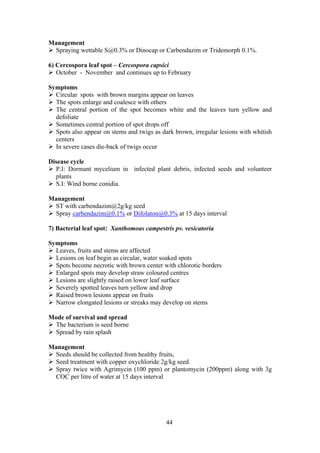44
Management
Spraying wettable S@0.3% or Dinocap or Carbendazim or Tridemorph 0.1%.
6) Cercospora leaf spot – Cercospora capsici
October - November and continues up to February
Symptoms
Circular spots with brown margins appear on leaves
The spots enlarge and coalesce with others
The central portion of the spot becomes white and the leaves turn yellow and
defoliate
Sometimes central portion of spot drops off
Spots also appear on stems and twigs as dark brown, irregular lesions with whitish
centers
In severe cases die-back of twigs occur
Disease cycle
P.I: Dormant mycelium in infected plant debris, infected seeds and volunteer
plants
S.I: Wind borne conidia.
Management
ST with carbendazim@2g/kg seed
Spray carbendazim@0.1% or Difolaton@0.3% at 15 days interval
7) Bacterial leaf spot: Xanthomoas campestris pv. vesicatoria
Symptoms
Leaves, fruits and stems are affected
Lesions on leaf begin as circular, water soaked spots
Spots become necrotic with brown center with chlorotic borders
Enlarged spots may develop straw coloured centres
Lesions are slightly raised on lower leaf surface
Severely spotted leaves turn yellow and drop
Raised brown lesions appear on fruits
Narrow elongated lesions or streaks may develop on stems
Mode of survival and spread
The bacterium is seed borne
Spread by rain splash
Management
Seeds should be collected from healthy fruits,
Seed treatment with copper oxychloride 2g/kg seed.
Spray twice with Agrimycin (100 ppm) or plantomycin (200ppm) along with 3g
COC per litre of water at 15 days interval
 