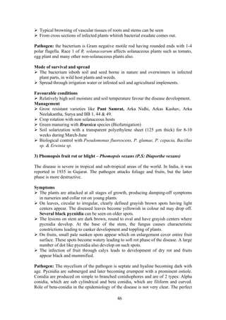 46
Typical browning of vascular tissues of roots and stems can be seen
From cross sections of infected plants whitish bacterial exudate comes out.
Pathogen: the bacterium is Gram negative motile rod having rounded ends with 1-4
polar flagella. Race 1 of R. solanacearum affects solanaceous plants such as tomato,
egg plant and many other non-solanaceous plants also.
Mode of survival and spread
The bacterium isboth soil and seed borne in nature and overwinters in infected
plant parts, in wild host plants and weeds.
Spread through irrigation water or infested soil and agricultural implements.
Favourable conditions
Relatively high soil moisture and soil temperature favour the disease development.
Management
Grow resistant varieties like Pant Samrat, Arka Nidhi, Arkas Kashav, Arka
Neelakantha, Surya and BB 1, 44 & 49.
Crop rotation with non solanaceous hosts
Green manuring with Brassica species (Biofumigation)
Soil solarization with a transparent polyethylene sheet (125 µm thick) for 8-10
weeks during March-June
Biological control with Pseudomonas fluorescens, P. glumae, P. cepacia, Bacillus
sp. & Erwinia sp.
3) Phomopsis fruit rot or blight – Phomopsis vexans (P.S: Diaporthe vexans)
The disease is severe in tropical and sub-tropical areas of the world. In India, it was
reported in 1935 in Gujarat. The pathogen attacks foliage and fruits, but the latter
phase is more destructive.
Symptoms
The plants are attacked at all stages of growth, producing damping-off symptoms
in nurseries and collar rot on young plants
On leaves, circular to irregular, clearly defined grayish brown spots having light
centers appear. The diseased leaves become yellowish in colour nd may drop off.
Several black pycnidia can be seen on older spots.
The lesions on stem are dark brown, round to oval and have grayish centers where
pycnidia develop. At the base of the stem, the fungus causes characteristic
constrictions leading to canker development and toppling of plants.
On fruits, small pale sunken spots appear which on enlargement cover entire fruit
surface. These spots become watery leading to soft rot phase of the disease. A large
number of dot like pycnidia also develop on such spots.
The infection of fruit through calyx leads to development of dry rot and fruits
appear black and mummified.
Pathogen: The mycelium of the pathogen is septate and hyaline becoming dark with
age. Pycnidia are submerged and later becoming erumpent with a prominent ostiole.
Conidia are produced on simple to branched conidiophores and are of 2 types: Alpha
conidia, which are sub cylindrical and beta conidia, which are filiform and curved.
Role of beta-conidia in the epidemiology of the disease is not very clear. The perfect
 