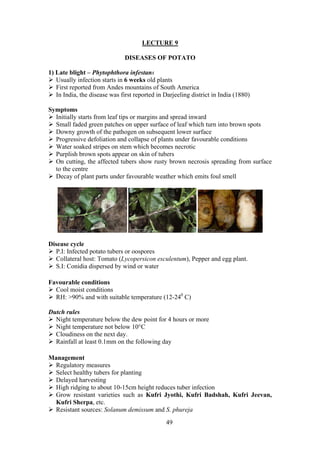 49
LECTURE 9
DISEASES OF POTATO
1) Late blight – Phytophthora infestans
Usually infection starts in 6 weeks old plants
First reported from Andes mountains of South America
In India, the disease was first reported in Darjeeling district in India (1880)
Symptoms
Initially starts from leaf tips or margins and spread inward
Small faded green patches on upper surface of leaf which turn into brown spots
Downy growth of the pathogen on subsequent lower surface
Progressive defoliation and collapse of plants under favourable conditions
Water soaked stripes on stem which becomes necrotic
Purplish brown spots appear on skin of tubers
On cutting, the affected tubers show rusty brown necrosis spreading from surface
to the centre
Decay of plant parts under favourable weather which emits foul smell
Disease cycle
P.I: Infected potato tubers or oospores
Collateral host: Tomato (Lycopersicon esculentum), Pepper and egg plant.
S.I: Conidia dispersed by wind or water
Favourable conditions
Cool moist conditions
RH: >90% and with suitable temperature (12-240
C)
Dutch rules
Night temperature below the dew point for 4 hours or more
Night temperature not below 10°C
Cloudiness on the next day.
Rainfall at least 0.1mm on the following day
Management
Regulatory measures
Select healthy tubers for planting
Delayed harvesting
High ridging to about 10-15cm height reduces tuber infection
Grow resistant varieties such as Kufri Jyothi, Kufri Badshah, Kufri Jeevan,
Kufri Sherpa, etc.
Resistant sources: Solanum demissum and S. phureja
 