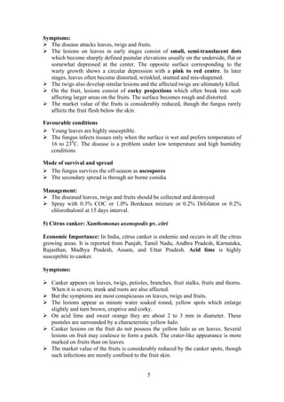 5
Symptoms:
The disease attacks leaves, twigs and fruits.
The lesions on leaves in early stages consist of small, semi-translucent dots
which become sharply defined pustular elevations usually on the underside, flat or
somewhat depressed at the center. The opposite surface corresponding to the
warty growth shows a circular depression with a pink to red centre. In later
stages, leaves often become distorted, wrinkled, stunted and mis-shapened.
The twigs also develop similar lesions and the affected twigs are ultimately killed.
On the fruit, lesions consist of corky projections which often break into scab
affecting larger areas on the fruits. The surface becomes rough and distorted.
The market value of the fruits is considerably reduced, though the fungus rarely
affects the fruit flesh below the skin.
Favourable conditions
Young leaves are highly susceptible.
The fungus infects tissues only when the surface is wet and prefers temperature of
16 to 230
C. The disease is a problem under low temperature and high humidity
conditions
Mode of survival and spread
The fungus survives the off-season as ascospores
The secondary spread is through air borne conidia
Management:
The diseased leaves, twigs and fruits should be collected and destroyed
Spray with 0.3% COC or 1.0% Bordeaux mixture or 0.2% Difolaton or 0.2%
chlorothalonil at 15 days interval.
5) Citrus canker: Xanthomonas axonopodis pv. citri
Economic Importance: In India, citrus canker is endemic and occurs in all the citrus
growing areas. It is reported from Punjab, Tamil Nadu, Andhra Pradesh, Karnataka,
Rajasthan, Madhya Pradesh, Assam, and Uttar Pradesh. Acid lime is highly
susceptible to canker.
Symptoms:
Canker appears on leaves, twigs, petioles, branches, fruit stalks, fruits and thorns.
When it is severe, trunk and roots are also affected.
But the symptoms are most conspicuous on leaves, twigs and fruits.
The lesions appear as minute water soaked round, yellow spots which enlarge
slightly and turn brown, eruptive and corky.
On acid lime and sweet orange they are about 2 to 3 mm in diameter. These
pustules are surrounded by a characteristic yellow halo.
Canker lesions on the fruit do not possess the yellow halo as on leaves. Several
lesions on fruit may coalesce to form a patch. The crater-like appearance is more
marked on fruits than on leaves.
The market value of the fruits is considerably reduced by the canker spots, though
such infections are mostly confined to the fruit skin.
 