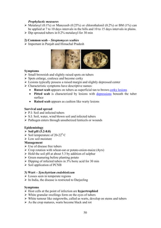 50
Prophylactic measures
Metalaxyl (0.1%) or Mancozeb (0.25%) or chlorothalonil (0.2%) or BM (1%) can
be applied at 7 to 10 days intervals in the hills and 10 to 15 days intervals in plains.
Dip sprouted tubers in 0.2% metalaxyl for 30 min
2) Common scab – Streptomyces scabies
Important in Punjab and Himachal Pradesh
Symptoms
Small brownish and slightly raised spots on tubers
Spots enlarge, coalesce and become corky
Lesions typically possess a raised margin and slightly depressed center
Characteristic symptoms have descriptive names:
• Russet scab appears on tubers as superficial tan to brown corky lesions
• Pitted scab is characterized by lesions with depressions beneath the tuber
surface
• Raised scab appears as cushion like warty lesions
Survival and spread
P.I: Soil and infected tubers
S.I: Soil, water, wind blown soil and infected tubers
Pathogen enters through unsuberized lenticels or wounds
Epidemiology
Soil pH (5.2-8.0)
Soil temperature of 20-220
C
Low soil moisture
Management
Use of disease free tubers
Crop rotation with wheat-oat or potato-onion-maize (4yrs)
Hold the soil pH at about 5.3 by addition of sulphur
Green manuring before planting potato
Dipping of infected tubers in 3% boric acid for 30 min
Soil application of PCNB
3) Wart – Synchytrium endobioticum
Losses seen in temperate regions
In India, the disease is restricted to Darjeeling
Symptoms
Host cells at the point of infection are hypertrophied
White granular swellings form on the eyes of tubers
White tumour like outgrowths, called as warts, develop on stems and tubers
As the crop matures, warts become black and rot
 