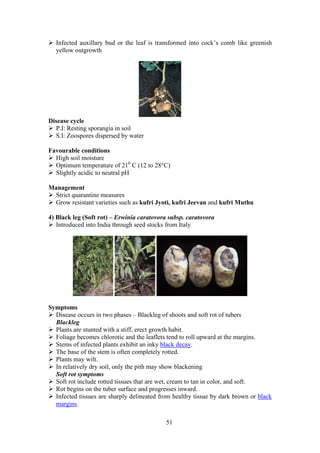 51
Infected auxillary bud or the leaf is transformed into cock’s comb like greenish
yellow outgrowth
Disease cycle
P.I: Resting sporangia in soil
S.I: Zoospores dispersed by water
Favourable conditions
High soil moisture
Optimum temperature of 210
C (12 to 28°C)
Slightly acidic to neutral pH
Management
Strict quarantine measures
Grow resistant varieties such as kufri Jyoti, kufri Jeevan and kufri Muthu
4) Black leg (Soft rot) – Erwinia caratovora subsp. caratovora
Introduced into India through seed stocks from Italy
Symptoms
Disease occurs in two phases – Blackleg of shoots and soft rot of tubers
Blackleg
Plants are stunted with a stiff, erect growth habit.
Foliage becomes chlorotic and the leaflets tend to roll upward at the margins.
Stems of infected plants exhibit an inky black decay.
The base of the stem is often completely rotted.
Plants may wilt.
In relatively dry soil, only the pith may show blackening
Soft rot symptoms
Soft rot include rotted tissues that are wet, cream to tan in color, and soft.
Rot begins on the tuber surface and progresses inward.
Infected tissues are sharply delineated from healthy tissue by dark brown or black
margins.
 