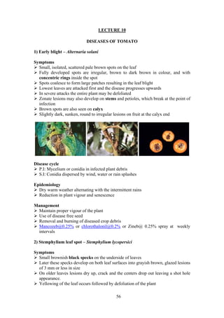 56
LECTURE 10
DISEASES OF TOMATO
1) Early blight – Alternaria solani
Symptoms
Small, isolated, scattered pale brown spots on the leaf
Fully developed spots are irregular, brown to dark brown in colour, and with
concentric rings inside the spot
Spots coalesce to form large patches resulting in the leaf blight
Lowest leaves are attacked first and the disease progresses upwards
In severe attacks the entire plant may be defoliated
Zonate lesions may also develop on stems and petioles, which break at the point of
infection
Brown spots are also seen on calyx
Slightly dark, sunken, round to irregular lesions on fruit at the calyx end
Disease cycle
P.I: Mycelium or conidia in infected plant debris
S.I: Conidia dispersed by wind, water or rain splashes
Epidemiology
Dry warm weather alternating with the intermittent rains
Reduction in plant vigour and senescence
Management
Maintain proper vigour of the plant
Use of disease free seed
Removal and burning of diseased crop debris
Mancozeb@0.25% or chlorothalonil@0.2% or Zineb@ 0.25% spray at weekly
intervals
2) Stemphylium leaf spot – Stemphylium lycopersici
Symptoms
Small brownish black specks on the underside of leaves
Later these specks develop on both leaf surfaces into grayish brown, glazed lesions
of 3 mm or less in size
On older leaves lesions dry up, crack and the centers drop out leaving a shot hole
appearance.
Yellowing of the leaf occurs followed by defoliation of the plant
 