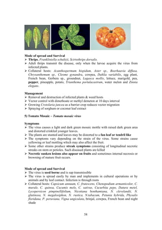 58
Mode of spread and Survival
Thrips, Frankliniella schultzii, Scirtothrips dorsalis.
Adult thrips transmit the disease, only when the larvae acquire the virus from
infected plants.
Collateral hosts: Acanthospermum hispidum, Aster sp., Boerhaavia diffusa,
Chrysanthemum sp., Cleome gynandra, cowpea, Dahlia variabilis, egg plant,
French bean, Gerbera sp., groundnut, Lagasca mollis, lettuce, marigold, pea,
pepper, pineapple, potato, Trianthema portulacastrum, water melon and Zinnia
elegans.
Management
Removal and destruction of infected plants & weed hosts
Vector control with dimethoate or methyl demeton at 10 days interval
Growing Crotolaria juncea as a barrier crop reduces vector migration
Spraying of sorghum or coconut leaf extract
5) Tomato Mosaic – Tomato mosaic virus
Symptoms
The virus causes a light and dark green mosaic mottle with raised dark green area
and distorted crinkled younger leaves.
The plants are stunted and leaves may be distorted to a fan leaf or tendril like
The symptoms vary depending on the strain of the virus. Some strains cause
yellowing or leaf mottling which may also affect the fruit.
Some other strains produce streak symptoms consisting of longitudinal necrotic
streaks on stem or petioles. Such diseased plants are killed
Necrotic sunken lesions also appear on fruits and sometimes internal necrosis or
browning of mature fruit occurs.
Mode of spread and Survival
The virus is seed borne and is sap transmissible
The virus is spread easily by man and implements in cultural operations or by
animals and by leaf contact. Infection is through roots
Collateral hosts: Capsicum annuum, C. frutescens, Chenopodium armanticolor, C.
murale, C. quinoa, Cucumis melo, C. sativus, Cucurbita pepo, Datura metel,
Lycopersicon pimpinellifolium, Nicotiana benthamiana, N. clevelandii, N.
glutinosa, N. megalosiphon, N. rustica, N.tabacum, Petunia hybrida, Physalis
floridana, P. peruviana, Vigna ungiculata, brinjal, cowpea, French bean and night
shade
 