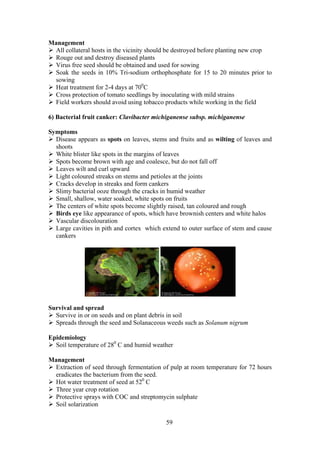 59
Management
All collateral hosts in the vicinity should be destroyed before planting new crop
Rouge out and destroy diseased plants
Virus free seed should be obtained and used for sowing
Soak the seeds in 10% Tri-sodium orthophosphate for 15 to 20 minutes prior to
sowing
Heat treatment for 2-4 days at 700
C
Cross protection of tomato seedlings by inoculating with mild strains
Field workers should avoid using tobacco products while working in the field
6) Bacterial fruit canker: Clavibacter michiganense subsp. michiganense
Symptoms
Disease appears as spots on leaves, stems and fruits and as wilting of leaves and
shoots
White blister like spots in the margins of leaves
Spots become brown with age and coalesce, but do not fall off
Leaves wilt and curl upward
Light coloured streaks on stems and petioles at the joints
Cracks develop in streaks and form cankers
Slimy bacterial ooze through the cracks in humid weather
Small, shallow, water soaked, white spots on fruits
The centers of white spots become slightly raised, tan coloured and rough
Birds eye like appearance of spots, which have brownish centers and white halos
Vascular discolouration
Large cavities in pith and cortex which extend to outer surface of stem and cause
cankers
Survival and spread
Survive in or on seeds and on plant debris in soil
Spreads through the seed and Solanaceous weeds such as Solanum nigrum
Epidemiology
Soil temperature of 280
C and humid weather
Management
Extraction of seed through fermentation of pulp at room temperature for 72 hours
eradicates the bacterium from the seed.
Hot water treatment of seed at 520
C
Three year crop rotation
Protective sprays with COC and streptomycin sulphate
Soil solarization
 