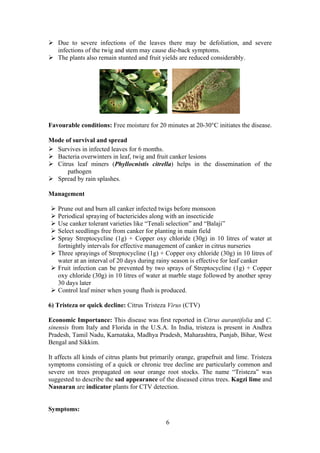 6
Due to severe infections of the leaves there may be defoliation, and severe
infections of the twig and stem may cause die-back symptoms.
The plants also remain stunted and fruit yields are reduced considerably.
Favourable conditions: Free moisture for 20 minutes at 20-30°C initiates the disease.
Mode of survival and spread
Survives in infected leaves for 6 months.
Bacteria overwinters in leaf, twig and fruit canker lesions
Citrus leaf miners (Phyllocnistis citrella) helps in the dissemination of the
pathogen
Spread by rain splashes.
Management
Prune out and burn all canker infected twigs before monsoon
Periodical spraying of bactericides along with an insecticide
Use canker tolerant varieties like “Tenali selection” and “Balaji”
Select seedlings free from canker for planting in main field
Spray Streptocycline (1g) + Copper oxy chloride (30g) in 10 litres of water at
fortnightly intervals for effective management of canker in citrus nurseries
Three sprayings of Streptocycline (1g) + Copper oxy chloride (30g) in 10 litres of
water at an interval of 20 days during rainy season is effective for leaf canker
Fruit infection can be prevented by two sprays of Streptocycline (1g) + Copper
oxy chloride (30g) in 10 litres of water at marble stage followed by another spray
30 days later
Control leaf miner when young flush is produced.
6) Tristeza or quick decline: Citrus Tristeza Virus (CTV)
Economic Importance: This disease was first reported in Citrus aurantifolia and C.
sinensis from Italy and Florida in the U.S.A. In India, tristeza is present in Andhra
Pradesh, Tamil Nadu, Karnataka, Madhya Pradesh, Maharashtra, Punjab, Bihar, West
Bengal and Sikkim.
It affects all kinds of citrus plants but primarily orange, grapefruit and lime. Tristeza
symptoms consisting of a quick or chronic tree decline are particularly common and
severe on trees propagated on sour orange root stocks. The name “Tristeza” was
suggested to describe the sad appearance of the diseased citrus trees. Kagzi lime and
Nasnaran are indicator plants for CTV detection.
Symptoms:
 