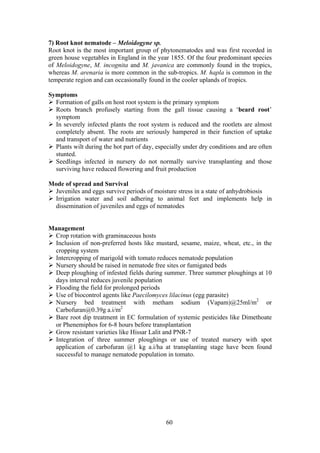 60
7) Root knot nematode – Meloidogyne sp.
Root knot is the most important group of phytonematodes and was first recorded in
green house vegetables in England in the year 1855. Of the four predominant species
of Meloidogyne, M. incognita and M. javanica are commonly found in the tropics,
whereas M. arenaria is more common in the sub-tropics. M. hapla is common in the
temperate region and can occasionally found in the cooler uplands of tropics.
Symptoms
Formation of galls on host root system is the primary symptom
Roots branch profusely starting from the gall tissue causing a ‘beard root’
symptom
In severely infected plants the root system is reduced and the rootlets are almost
completely absent. The roots are seriously hampered in their function of uptake
and transport of water and nutrients
Plants wilt during the hot part of day, especially under dry conditions and are often
stunted.
Seedlings infected in nursery do not normally survive transplanting and those
surviving have reduced flowering and fruit production
Mode of spread and Survival
Juveniles and eggs survive periods of moisture stress in a state of anhydrobiosis
Irrigation water and soil adhering to animal feet and implements help in
dissemination of juveniles and eggs of nematodes
Management
Crop rotation with graminaceous hosts
Inclusion of non-preferred hosts like mustard, sesame, maize, wheat, etc., in the
cropping system
Intercropping of marigold with tomato reduces nematode population
Nursery should be raised in nematode free sites or fumigated beds
Deep ploughing of infested fields during summer. Three summer ploughings at 10
days interval reduces juvenile population
Flooding the field for prolonged periods
Use of biocontrol agents like Paecilomyces lilacinus (egg parasite)
Nursery bed treatment with metham sodium (Vapam)@25ml/m2
or
Carbofuran@0.39g a.i/m2
Bare root dip treatment in EC formulation of systemic pesticides like Dimethoate
or Phenemiphos for 6-8 hours before transplantation
Grow resistant varieties like Hissar Lalit and PNR-7
Integration of three summer ploughings or use of treated nursery with spot
application of carbofuran @1 kg a.i/ha at transplanting stage have been found
successful to manage nematode population in tomato.
 
