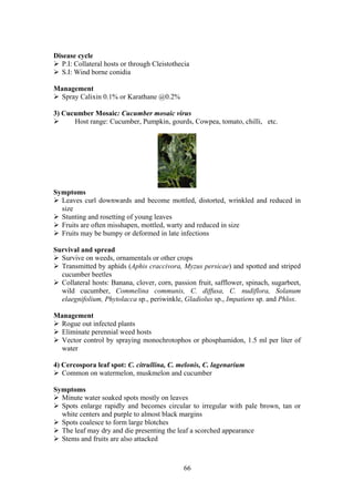 66
Disease cycle
P.I: Collateral hosts or through Cleistothecia
S.I: Wind borne conidia
Management
Spray Calixin 0.1% or Karathane @0.2%
3) Cucumber Mosaic: Cucumber mosaic virus
Host range: Cucumber, Pumpkin, gourds, Cowpea, tomato, chilli, etc.
Symptoms
Leaves curl downwards and become mottled, distorted, wrinkled and reduced in
size
Stunting and rosetting of young leaves
Fruits are often misshapen, mottled, warty and reduced in size
Fruits may be bumpy or deformed in late infections
Survival and spread
Survive on weeds, ornamentals or other crops
Transmitted by aphids (Aphis craccivora, Myzus persicae) and spotted and striped
cucumber beetles
Collateral hosts: Banana, clover, corn, passion fruit, safflower, spinach, sugarbeet,
wild cucumber, Commelina communis, C. diffusa, C. nudiflora, Solanum
elaegnifolium, Phytolacca sp., periwinkle, Gladiolus sp., Impatiens sp. and Phlox.
Management
Rogue out infected plants
Eliminate perennial weed hosts
Vector control by spraying monochrotophos or phosphamidon, 1.5 ml per liter of
water
4) Cercospora leaf spot: C. citrullina, C. melonis, C. lagenarium
Common on watermelon, muskmelon and cucumber
Symptoms
Minute water soaked spots mostly on leaves
Spots enlarge rapidly and becomes circular to irregular with pale brown, tan or
white centers and purple to almost black margins
Spots coalesce to form large blotches
The leaf may dry and die presenting the leaf a scorched appearance
Stems and fruits are also attacked
 