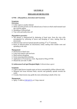 68
LECTURE 12
DISEASES OF BETELVINE
1) Wilt – (Phytophthora, Sclerotium and Fusarium)
Symptoms
Sclerotium
Collar region is usually infected
White mycelial growth over the infected area of stem on which small mustard seed
like sclerotia appear
Shredding of infected bark
Vine wilts and totally dries off
Phytophthora parasitica
The disease is characterized by darkening of basal stem. Soon the wine wilts
accompanied by yellowing of leaves and drooping of vines, starting from tip
downwards.
Infection from soil level spread upwards reaching 2nd
or 3rd
internode.
Roots of affected plants are discoloured, rotted, starting from smaller roots and
spreading to the stem
Management
Destruction of dead vines
Long crop rotation with non hosts
Deep summer ploughing
Green manuring before planting
Application of Trichoderma viride, 2kg mixed in 50 kg of FYM
Drench the soil with 1% BM
2) Anthracnose/Leaf spot/Marginal blight: Colletotrichum capsici
Symptoms
Light to dark brown irregular spots on leaves surrounded by diffuse chlorotic halo
Marginal leaf tissue becomes black, necrotic and gradually spreads towards the
centre
Circular, black lesions may girdle the stem culminating in death of the vine
Management
Spray 1% BM or COC@0.3% at 15 days interval
 