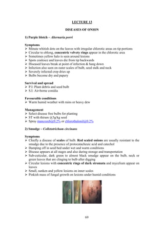 69
LECTURE 13
DISEASES OF ONION
1) Purple blotch – Alternaria porri
Symptoms
Minute whitish dots on the leaves with irregular chlorotic areas on tip portions
Circular to oblong, concentric velvety rings appear in the chlorotic area
Sometimes yellow halo is seen around lesions
Spots coalesce and leaves die from tip backwards
Diseased leaves break at point of infection & hang down
Infection also seen on outer scales of bulb, seed stalk and neck
Severely infected crop dries up
Bulbs become dry and papery
Survival and spread
P.I: Plant debris and seed bulb
S.I: Air-borne conidia
Favourable conditions
Warm humid weather with rains or heavy dew
Management
Select disease free bulbs for planting
ST with thiram @3g/kg seed
Spray mancozeb@0.2% or chlorothalonil@0.2%
2) Smudge – Colletotrichum circinans
Symptoms
Chiefly a disease of scales of bulb. Red scaled onions are usually resistant to the
smudge due to the presence of protocatacheuic acid and catechol
Damping off in seed bed under wet and warm conditions
Disease appears at all stages and also during storage and transportation
Sub-cuticular, dark green to almost black smudge appear on the bulb, neck or
green leaves that are clinging to bulb after digging
Circular lesions with concentric rings of dark stromata and mycelium appear on
leaves
Small, sunken and yellow lesions on inner scales
Pinkish mass of fungal growth on lesions under humid conditions
 