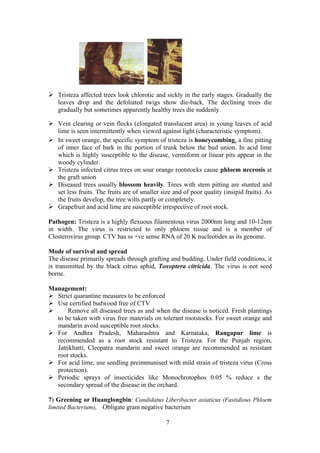 7
Tristeza affected trees look chlorotic and sickly in the early stages. Gradually the
leaves drop and the defoliated twigs show die-back. The declining trees die
gradually but sometimes apparently healthy trees die suddenly.
Vein clearing or vein flecks (elongated translucent area) in young leaves of acid
lime is seen intermittently when viewed against light (characteristic symptom).
In sweet orange, the specific symptom of tristeza is honeycombing, a fine pitting
of inner face of bark in the portion of trunk below the bud union. In acid lime
which is highly susceptible to the disease, vermiform or linear pits appear in the
woody cylinder.
Tristeza infected citrus trees on sour orange rootstocks cause phloem necrosis at
the graft union
Diseased trees usually blossom heavily. Trees with stem pitting are stunted and
set less fruits. The fruits are of smaller size and of poor quality (insipid fruits). As
the fruits develop, the tree wilts partly or completely.
Grapefruit and acid lime are susceptible irrespective of root stock.
Pathogen: Tristeza is a highly flexuous filamentous virus 2000nm long and 10-12nm
in width. The virus is restricted to only phloem tissue and is a member of
Closterovirus group. CTV has ss +ve sense RNA of 20 K nucleotides as its genome.
Mode of survival and spread
The disease primarily spreads through grafting and budding. Under field conditions, it
is transmitted by the black citrus aphid, Toxoptera citricida. The virus is not seed
borne.
Management:
Strict quarantine measures to be enforced
Use certified budwood free of CTV
Remove all diseased trees as and when the disease is noticed. Fresh plantings
to be taken with virus free materials on tolerant rootstocks. For sweet orange and
mandarin avoid susceptible root stocks.
For Andhra Pradesh, Maharashtra and Karnataka, Rangapur lime is
recommended as a root stock resistant to Tristeza. For the Punjab region,
Jattikhatti, Cleopatra mandarin and sweet orange are recommended as resistant
root stocks.
For acid lime, use seedling preimmunised with mild strain of tristeza virus (Cross
protection).
Periodic sprays of insecticides like Monochrotophos 0.05 % reduce s the
secondary spread of the disease in the orchard.
7) Greening or Huanglongbin: Candidatus Liberibacter asiaticus (Fastidious Phloem
limited Bacterium), Obligate gram negative bacterium
 
