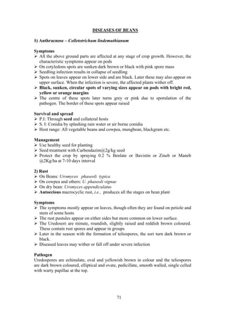 71
DISEASES OF BEANS
1) Anthracnose – Colletotrichum lindemuthianum
Symptoms
All the above ground parts are affected at any stage of crop growth. However, the
characteristic symptoms appear on pods
On cotyledons spots are sunken dark brown or black with pink spore mass
Seedling infection results in collapse of seedling
Spots on leaves appear on lower side and are black. Later these may also appear on
upper surface. When the infection is severe, the affected plants wither off.
Black, sunken, circular spots of varying sizes appear on pods with bright red,
yellow or orange margins
The centre of these spots later turns grey or pink due to sporulation of the
pathogen. The border of these spots appear raised
Survival and spread
P.I: Through seed and collateral hosts
S. I: Conidia by splashing rain water or air borne conidia
Host range: All vegetable beans and cowpea, mungbean, blackgram etc.
Management
Use healthy seed for planting
Seed treatment with Carbendazim@2g/kg seed
Protect the crop by spraying 0.2 % Benlate or Bavistin or Zineb or Maneb
@2Kg/ha at 7-10 days interval
2) Rust
On Beans: Uromyces phaseoli typica
On cowpea and others: U. phaseoli vignae
On dry bean: Uromyces appendiculatus
Autoecious macrocyclic rust, i.e., produces all the stages on bean plant
Symptoms
The symptoms mostly appear on leaves, though often they are found on petiole and
stem of some hosts
The rust pustules appear on either sides but more common on lower surface.
The Uredosori are minute, roundish, slightly raised and reddish brown coloured.
These contain rust spores and appear in groups
Later in the season with the formation of teliospores, the sori turn dark brown or
black.
Diseased leaves may wither or fall off under severe infection
Pathogen
Uredospores are echinulate, oval and yellowish brown in colour and the teliospores
are dark brown coloured, elliptical and ovate, pedicillate, smooth walled, single celled
with warty papillae at the top.
 