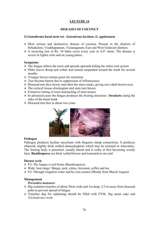 74
LECTURE 14
DISEASES OF COCONUT
1) Ganoderma basal stem rot– Ganoderma lucidum, G. applanatum
Most serious and destructive disease of coconut. Present in the districts of
Srikakulum, Visakhapatnam, Vizianagaram, East and West Godavari districts.
A recurring loss of Rs. 10 lakhs occur every year in A.P. alone. The disease is
severe in lighter soils and on young palms.
Symptoms
The fungus infects the roots and spreads upwards killing the entire root system
Older leaves droop and wither and remain suspended around the trunk for several
months
Younger leaves remain green for sometime
Tree become barren due to suppression of inflorescence
Diseased tree dies slowly and often the stem cracks, giving out a dark brown ooze
The cortical tissues disintegrate and stem turn brown.
Extensive rotting of roots and peeling of stem tissues
In advanced cases the fungus produces the fruiting structures (brackets) along the
sides of the basal trunk
Diseased tree dies in about two years
Pathogen
Pathogen produces hyaline mycelium with frequent clamp connections. It produces
ellipsoid, slightly thick walled chamydospores which may be terminal or intercalary.
The fruiting body is perennial, usually lateral and is corky at first becoming woody
later. Basidiospores are thick walled brown and truncated at one end.
Disease cycle
P.I: The fungus is soil borne (Basidiospores)
Wide host range: Mango, jack, citrus, Arecanut, coffee and tea
S.I: Through irrigation water and by root contact (Mostly from March-August)
Management
Preventive measures
Dig isolation trenches of about 50cm wide and 1m deep, 2-3 m away from diseased
palm to prevent spread of fungus
Trenches dug for replanting should be filled with FYM, 5kg neem cake and
Trichoderma viride
 