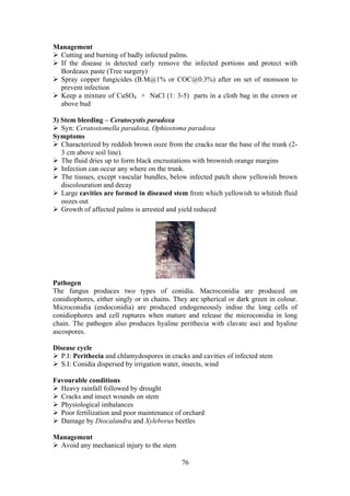 76
Management
Cutting and burning of badly infected palms.
If the disease is detected early remove the infected portions and protect with
Bordeaux paste (Tree surgery)
Spray copper fungicides (B.M@1% or COC@0.3%) after on set of monsoon to
prevent infection
Keep a mixture of CuSO4 + NaCl (1: 3-5) parts in a cloth bag in the crown or
above bud
3) Stem bleeding – Ceratocystis paradoxa
Syn: Ceratostomella paradoxa, Ophiostoma paradoxa
Symptoms
Characterized by reddish brown ooze from the cracks near the base of the trunk (2-
3 cm above soil line).
The fluid dries up to form black encrustations with brownish orange margins
Infection can occur any where on the trunk.
The tissues, except vascular bundles, below infected patch show yellowish brown
discolouration and decay
Large cavities are formed in diseased stem from which yellowish to whitish fluid
oozes out
Growth of affected palms is arrested and yield reduced
Pathogen
The fungus produces two types of conidia. Macroconidia are produced on
conidiophores, either singly or in chains. They are spherical or dark green in colour.
Microconidia (endoconidia) are produced endogeneously indise the long cells of
conidiophores and cell ruptures when mature and release the microconidia in long
chain. The pathogen also produces hyaline perithecia with clavate asci and hyaline
ascospores.
Disease cycle
P.I: Perithecia and chlamydospores in cracks and cavities of infected stem
S.I: Conidia dispersed by irrigation water, insects, wind
Favourable conditions
Heavy rainfall followed by drought
Cracks and insect wounds on stem
Physiological imbalances
Poor fertilization and poor maintenance of orchard
Damage by Diocalandra and Xyleborus beetles
Management
Avoid any mechanical injury to the stem
 