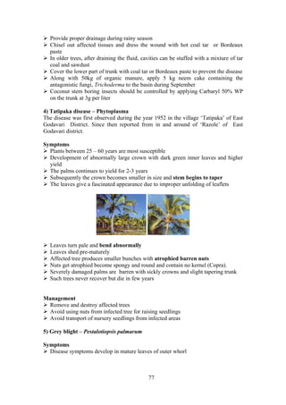 77
Provide proper drainage during rainy season
Chisel out affected tissues and dress the wound with hot coal tar or Bordeaux
paste
In older trees, after draining the fluid, cavities can be stuffed with a mixture of tar
coal and sawdust
Cover the lower part of trunk with coal tar or Bordeaux paste to prevent the disease
Along with 50kg of organic manure, apply 5 kg neem cake containing the
antagonistic fungi, Trichoderma to the basin during September
Coconut stem boring insects should be controlled by applying Carbaryl 50% WP
on the trunk at 3g per liter
4) Tatipaka disease – Phytoplasma
The disease was first observed during the year 1952 in the village ‘Tatipaka’ of East
Godavari District. Since then reported from in and around of ‘Razole’ of East
Godavari district.
Symptoms
Plants between 25 – 60 years are most susceptible
Development of abnormally large crown with dark green inner leaves and higher
yield
The palms continues to yield for 2-3 years
Subsequently the crown becomes smaller in size and stem begins to taper
The leaves give a fascinated appearance due to improper unfolding of leaflets
Leaves turn pale and bend abnormally
Leaves shed pre-maturely
Affected tree produces smaller bunches with atrophied barren nuts
Nuts get atrophied become spongy and round and contain no kernel (Copra).
Severely damaged palms are barren with sickly crowns and slight tapering trunk
Such trees never recover but die in few years
Management
Remove and destroy affected trees
Avoid using nuts from infected tree for raising seedlings
Avoid transport of nursery seedlings from infected areas
5) Grey blight – Pestalotiopsis palmarum
Symptoms
Disease symptoms develop in mature leaves of outer whorl
 