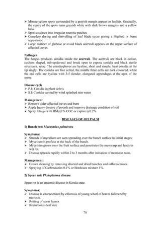 78
Minute yellow spots surrounded by a grayish margin appear on leaflets. Gradually,
the centre of the spots turns grayish white with dark brown margins and a yellow
halo.
Spots coalesce into irregular necrotic patches
Complete drying and shrivelling of leaf blade occur giving a blighted or burnt
appearance.
Large number of globose or ovoid black acervuli appears on the upper surface of
affected leaves.
Pathogen
The fungus produces conidia inside the acervuli. The acervuli are black in colour,
cushion shaped, sub-epidermal and break open to expose conidia and black sterile
structures, setae. The conidiophores are hyaline, short and simple, bear conidia at the
tip singly. The conidia are five celled, the middle three cells are dark coloured, while
the end cells are hyaline with 3-5 slender, elongated appendages at the apex of the
spore.
Disease cycle
P.I: Conidia in plant debris
S.I: Conidia carried by wind splashed rain water
Management
Remove older affected leaves and burn
Apply heavy disease of potash and improve drainage condition of soil
Spray foliage with BM@1% COC or captan @0.2%
DISEASES OF OILPALM
1) Bunch rot: Marasmius palmivora
Symptoms:
Strands of mycelium are seen spreading over the bunch surface in initial stages
Mycelium is profuse at the back of the bunch.
Mycelium grows over the fruit surface and penetrates the mesocarp and leads to
wet rot.
Disease spreads rapidly within 2 to 3 months after initiation of monsoon rains.
Management:
Crown cleaning by removing aborted and dried bunches and inflorescences.
Spraying of Carbendazim 0.1% or Bordeaux mixture 1%.
2) Spear rot: Phytoplasma disease
Spear rot is an endemic disease in Kerala state.
Symptoms:
Disease is characterized by chlorosis of young whorl of leaves followed by
necrosis.
Rotting of spear leaves
Reduction is leaf size
 
