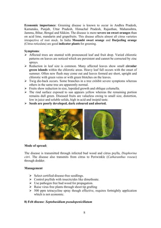 8
Economic importance: Greening disease is known to occur in Andhra Pradesh,
Karnataka, Punjab, Uttar Pradesh, Himachal Pradesh, Rajasthan, Maharashtra,
Jammu, Bihar, Bengal and Sikkim. The disease is more severe on sweet oranges than
on acid lime, mandarin and grapefruits. This disease affects almost all citrus varieties
irrespective of root stock. In India Mosambi sweet orange and Darjeeling orange
(Citrus reticulata) are good indicator plants for greening.
Symptoms:
Affected trees are stunted with pronounced leaf and fruit drop. Varied chlorotic
patterns on leaves are noticed which are persistent and cannot be corrected by zinc
sprays.
Reduction in leaf size is common. Many affected leaves show small circular
green islands within the chlorotic areas. Heavy leaf fall occurs with the onset of
summer. Often new flush may come out and leaves formed are short, upright and
chlorotic with green veins or with green blotches on the leaves.
Twig die-back occurs. Some branches in a tree exhibit severe symptoms whereas
others in the same tree are apparently normal.
Fruits show reduction in size, lopsided growth and oblique columella.
The rind surface exposed to sun appears yellow whereas the remaining portion
remains dull green. Diseased fruits are valueless owing to small size, distortion,
low in juice and soluble solids, high in acid and insipid taste.
Seeds are poorly developed, dark coloured and aborted.
Mode of spread:
The disease is transmitted through infected bud wood and citrus psylla, Diaphorina
citri. The disease also transmits from citrus to Periwinkle (Catharanthus roseus)
through dodder.
Management
Select certified disease-free seedlings.
Control psyllids with insecticides like dimethoate.
Use pathogen free bud wood for propagation.
Raise virus free plants through shoot tip grafting
500 ppm tetracycline spray though effective, requires fortnightly application
which is not economic.
8) Felt disease: Septobasidium pseudopenicillatum
 