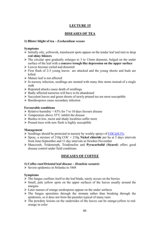 80
LECTURE 15
DISEASES OF TEA
1) Blister blight of tea – Exobasidium vexans
Symptoms
Initially oily, yellowish, translucent spots appear on the tender leaf and turn to deep
red shiny blisters
The circular spot gradually enlarges to 3 to 13mm diameter, bulged on the under
surface of the leaf with a concave trough like depression on the upper surface
Leaves become curled and distorted
First flush of 2-3 young leaves are attacked and the young shoots and buds are
killed
Mature leaf is not affected
In nursery infection, seedlings are stunted with many thin stems instead of a single
stalk
Repeated attacks cause death of seedlings
Badly affected nurseries will have to be abandoned
Succulent leaves and green shoots of newly pruned tea are most susceptible
Basidiospores cause secondary infection
Favourable conditions
Relative humidity > 83% for 7 to 10 days favours disease
Temperature above 35°C inhibit the disease
Bushes in low, moist and shady localities suffer more
Pruned trees with new flush is highly susceptible
Management
Seedlings should be protected in nursery by weekly sprays of COC@0.3%
Spray, a mixture of 210g COC + 210g Nickel chloride per ha at 5 days intervals
from June-September and 11 day intervals in October-November
Mancozeb, Tridemorph, Triadimefon and Pyracarbolid (Sicarol) offers good
disease control under field conditions
DISEASES OF COFFEE
1) Coffee rust/Oriental leaf disease – Hemileia vastatrix
Severe epidemics in Srilanka in 1868
Symptoms
The fungus confines itself to the leaf blade, rarely occurs on the berries
Small, pale yellow spots on the upper surfaces of the leaves usually around the
margins
Later masses of orange uredospores appear on the under surfaces
The fungus sporulates through the stomata rather than breaking through the
epidermis, so it does not form the pustules typical of many rusts
The powdery lesions on the undersides of the leaves can be orange-yellow to red-
orange in color
 