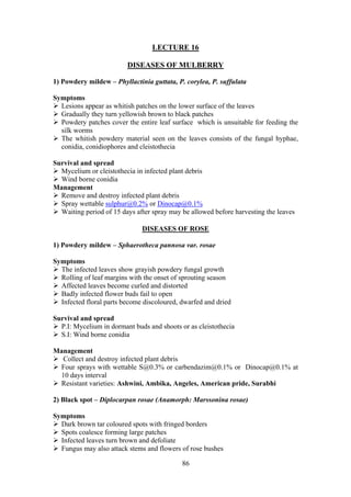 86
LECTURE 16
DISEASES OF MULBERRY
1) Powdery mildew – Phyllactinia guttata, P. corylea, P. suffulata
Symptoms
Lesions appear as whitish patches on the lower surface of the leaves
Gradually they turn yellowish brown to black patches
Powdery patches cover the entire leaf surface which is unsuitable for feeding the
silk worms
The whitish powdery material seen on the leaves consists of the fungal hyphae,
conidia, conidiophores and cleistothecia
Survival and spread
Mycelium or cleistothecia in infected plant debris
Wind borne conidia
Management
Remove and destroy infected plant debris
Spray wettable sulphur@0.2% or Dinocap@0.1%
Waiting period of 15 days after spray may be allowed before harvesting the leaves
DISEASES OF ROSE
1) Powdery mildew – Sphaerotheca pannosa var. rosae
Symptoms
The infected leaves show grayish powdery fungal growth
Rolling of leaf margins with the onset of sprouting season
Affected leaves become curled and distorted
Badly infected flower buds fail to open
Infected floral parts become discoloured, dwarfed and dried
Survival and spread
P.I: Mycelium in dormant buds and shoots or as cleistothecia
S.I: Wind borne conidia
Management
Collect and destroy infected plant debris
Four sprays with wettable S@0.3% or carbendazim@0.1% or Dinocap@0.1% at
10 days interval
Resistant varieties: Ashwini, Ambika, Angeles, American pride, Surabhi
2) Black spot – Diplocarpan rosae (Anamorph: Marssonina rosae)
Symptoms
Dark brown tar coloured spots with fringed borders
Spots coalesce forming large patches
Infected leaves turn brown and defoliate
Fungus may also attack stems and flowers of rose bushes
 