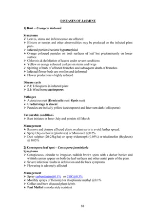 88
DISEASES OF JASMINE
1) Rust – Uromyces hobsonii
Symptoms
Leaves, stems and inflorescence are affected
Blisters or tumors and other abnormalities may be produced on the infected plant
parts
Infected portions become hypertrophied
Orange coloured pustules on both surfaces of leaf but predominantly on lower
surface
Chlorosis & defoliation of leaves under severe conditions
Yellow or orange coloured cankers on stems and twigs
Splitting of bark of affected branches and subsequent death of branches
Infected flower buds are swollen and deformed
Flower production is highly reduced
Disease cycle
P.I: Teliospores in infected plant
S.I: Wind borne aeciospores
Pathogen
Autoecious rust (Demicyclic rust/ Opsis rust)
Uredial stage is absent
Pustules are initially yellow (aeciospores) and later turn dark (teliospores)
Favourable conditions
Rust initiates in June- July and persists till March
Management
Remove and destroy affected plants or plant parts to avoid further spread.
Spray Oxy-carboxin (plantavax) or Mancozeb @0.2%
Dust sulphur (20-25kg/ha) or spray tridemorph (0.05%) or triadimefon (Bayleton)
@ 0.05%
2) Cercospora leaf spot – Cercospora jasminicola
Symptoms
Conspicuous, circular to irregular, reddish brown spots with a darker border and
whitish centers appear on both the leaf surfaces and other aerial parts of the plant
Severe infection results in defoliation and die back symptoms
Flowering is adversely affected
Management
Spray carbendazim@0.1% or COC@0.3%
Monthly sprays of Benomyl or thiophanate methyl @0.1%
Collect and burn diseased plant debris
Pari Mullai is moderately resistant
 