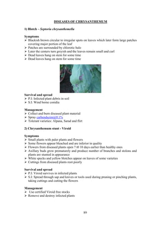 89
DISEASES OF CHRYSANTHEMUM
1) Blotch – Septoria chrysanthemella
Symptoms
Blackish brown circular to irregular spots on leaves which later form large patches
covering major portion of the leaf
Patches are surrounded by chlorotic halo
Later the centers turn greyish and the leaves remain small and curl
Dead leaves hang on stem for some time
Dead leaves hang on stem for some time
Survival and spread
P.I: Infected plant debris in soil
S.I: Wind borne conidia
Management
Collect and burn diseased plant material
Spray carbendazim@0.1%
Tolerant varieties: Alpana, Sarad and flirt
2) Chrysanthemum stunt - Viroid
Symptoms
Small plants with paler plants and flowers
Some flowers appear bleached and are inferior in quality
Flowers from diseased plants open 7 t0 10 days earlier than healthy ones
Axillary buds grow prematurely and produce number of branches and stolons and
plants are stunted in appearance
White specks and yellow blotches appear on leaves of some varieties
Cuttings from diseased plants root poorly
Survival and spread
P.I: Viroid survives in infected plants
S.I: Spread through sap and knives or tools used during pruning or pinching plants,
taking cuttings and cutting the flowers
Management
Use certified Viroid free stocks
Remove and destroy infected plants
 