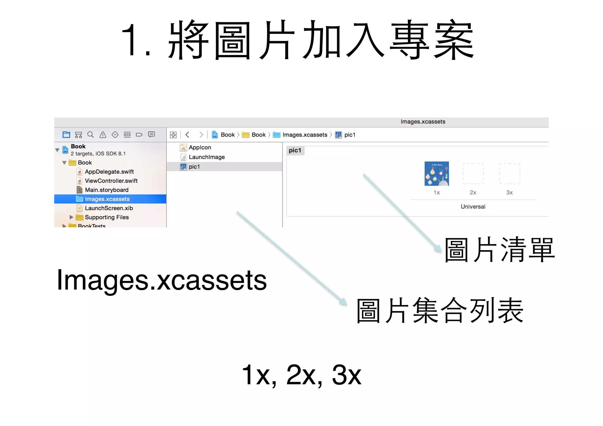 1. 將圖⽚片加⼊入專案
Images.xcassets
圖⽚片集合列表
圖⽚片清單
1x, 2x, 3x
 
