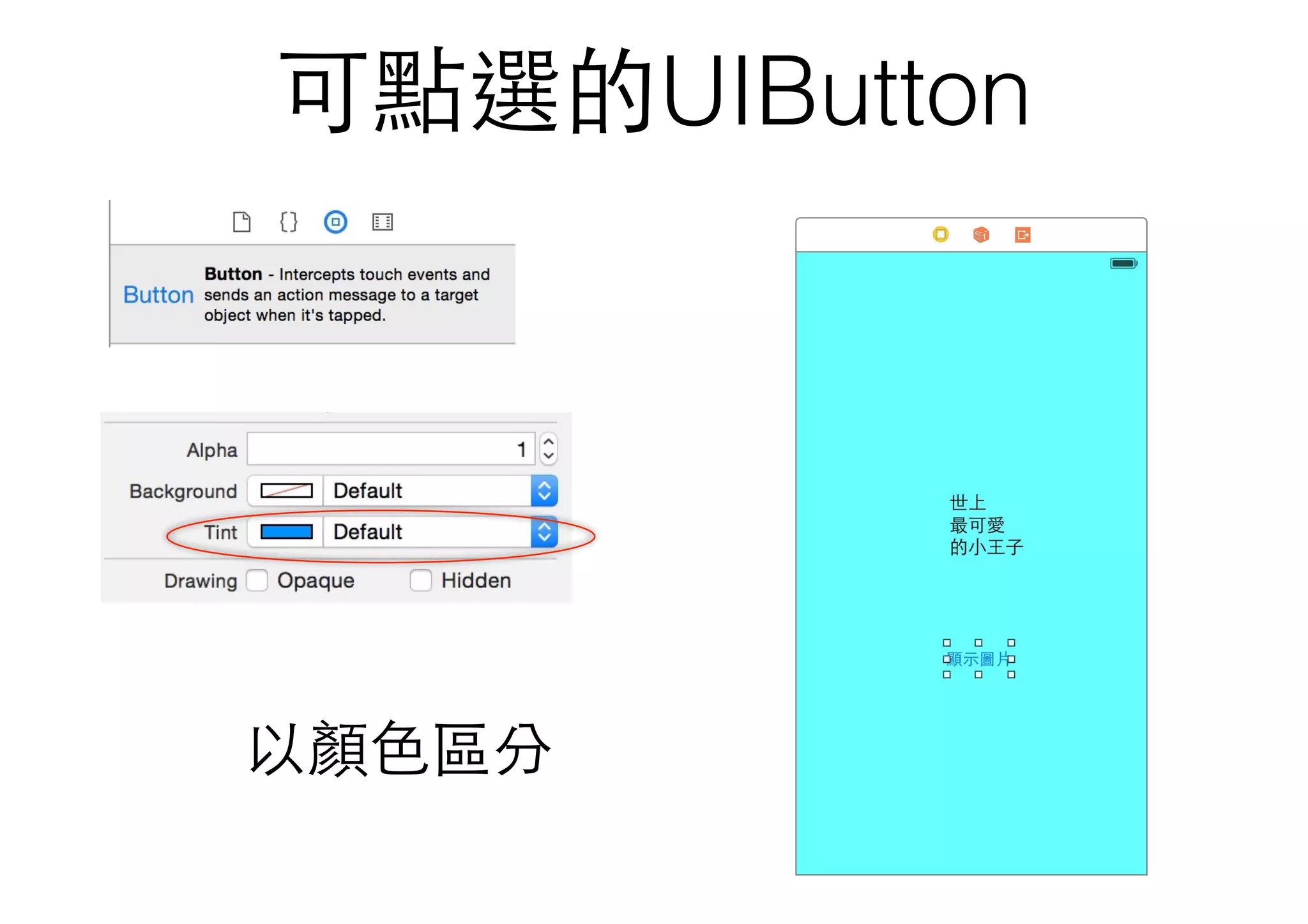 可點選的UIButton
以顏⾊色區分
 