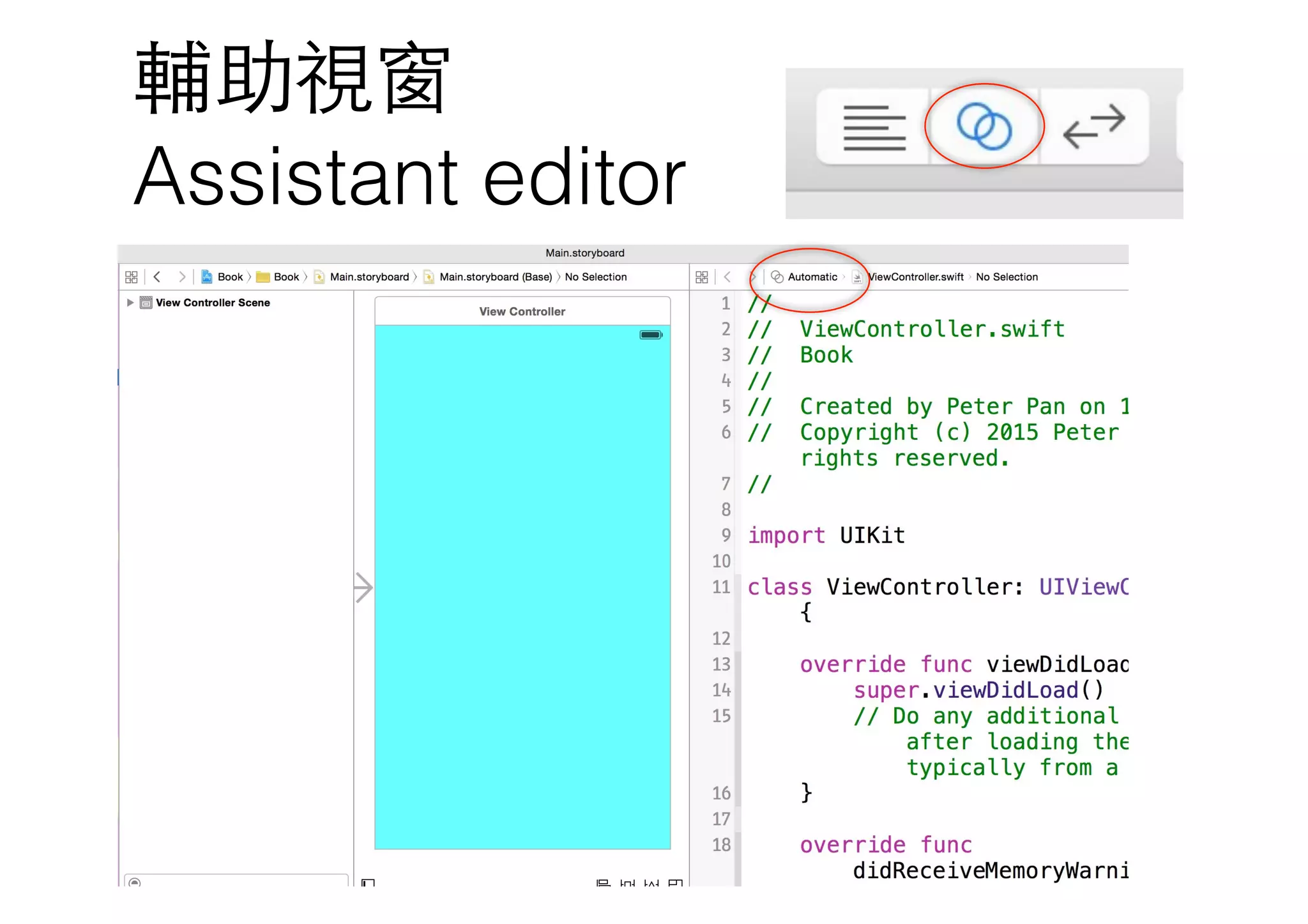 輔助視窗 
Assistant editor
 
