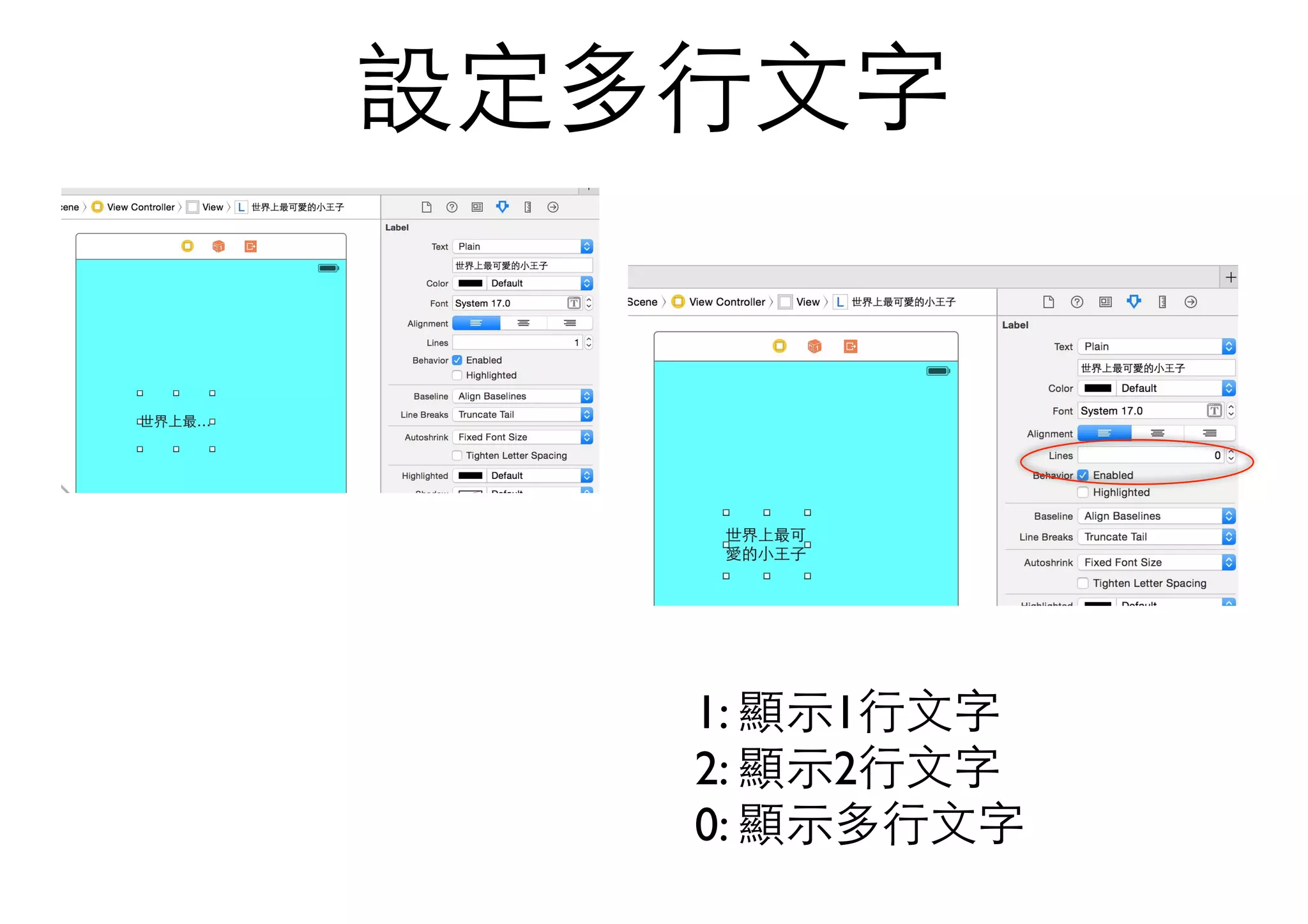 設定多⾏行⽂文字
1: 顯⽰示1⾏行⽂文字
2: 顯⽰示2⾏行⽂文字
0: 顯⽰示多⾏行⽂文字
 