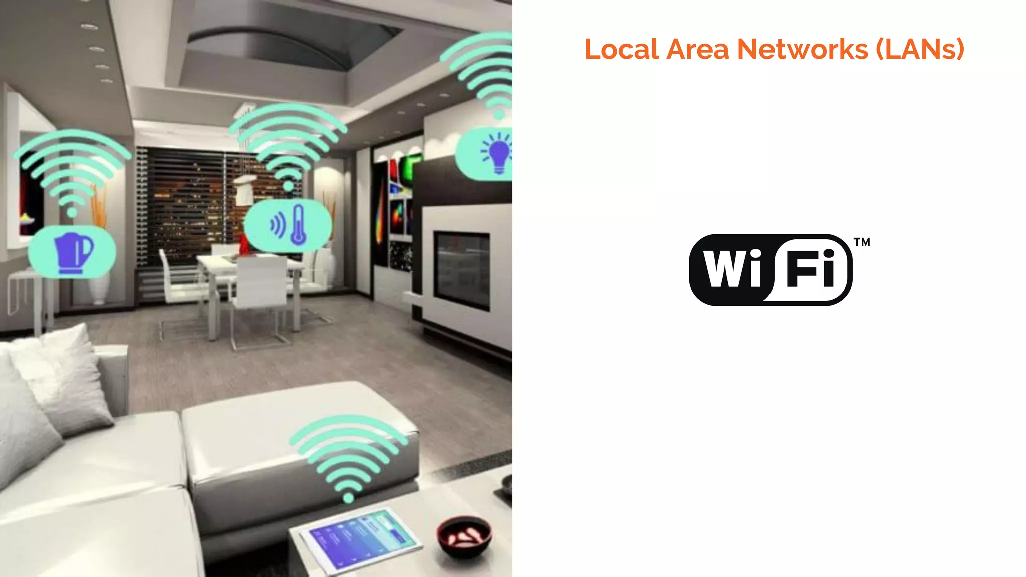 Local Area Networks (LANs)
 