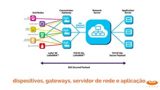 dispositivos, gateways, servidor de rede e aplicação
 