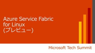 Microsoft Tech Summit
 