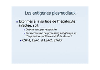 7#" ( !6"7#" ( !6"
00
" "" "
"" $$
!#" + ;&!#" + ;&
&& )0')0' ) ') ' *0 <*0 <
' " #' " #