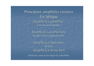 ) * !) * !
+ "+ "
( , $ ! -( , $ ! -
! # $ -! # $ -
% $% $
 