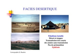FACIES DESERTIQUE
Paludisme instable
Désert et steppes
Transmission très courte
des années sans transmission
Pas de prémunition
Epidémie
Iconographie D. Baudon
 