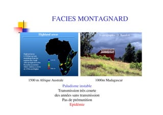 FACIES MONTAGNARD
Paludisme instable
Transmission très courte
des années sans transmission
Pas de prémunition
Epidémie
1500 m Afrique Australe 1000m Madagascar
Iconographie D. Baudon
 